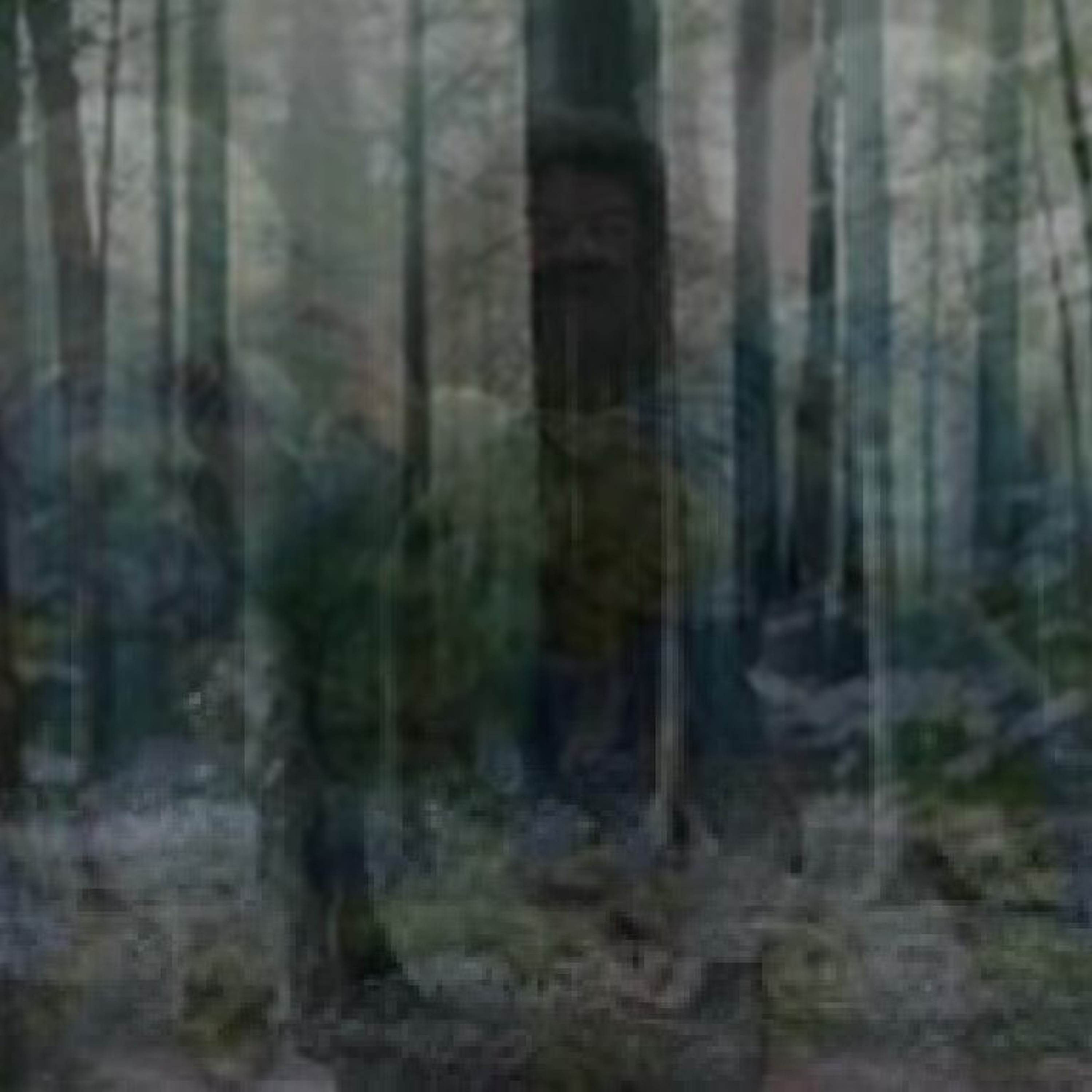 The Forbidden Forest West Of Normal episode artwork