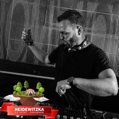 TONI THORN @ Heidewitzka Festival 2017 - Hildburghausen 08.07.2017