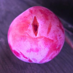 @ThePeachIsSplitAndTheVeinGotHit@