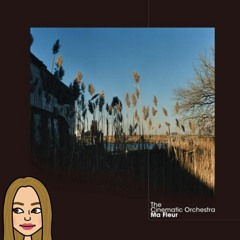 To Build a Home by The Cinematic Orchestra - Mariana Sam Remix