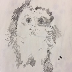 눈