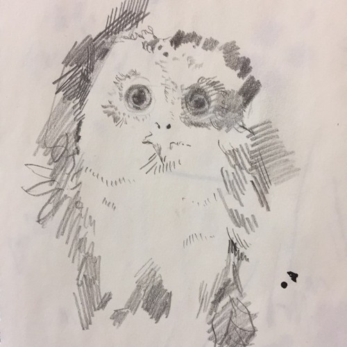 눈