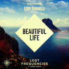 Lost Frequencies feat Sandro Cavazza - Beautiful life (Luis Daniels remix) | FREE DOWNLOAD