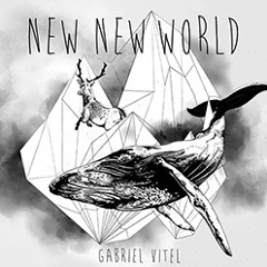 Gabriel Vitel - Unkown Places (Tony Casanova Remix)