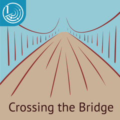Crossing the bridge #7 – Развернуть аудиторию