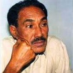 عبدالمنعم الخالدى - سلمى