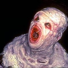 There is something in the sewers - Tales pt2