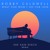 Artwork for Bobby Caldwell - What you won't do for love (She said disco remix)