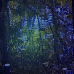 The Groove Is Real Demo