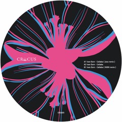 B1 Ivan Dorn - Collaba (KiRiK Remix) Snippets