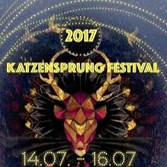 Sebastian Dali @ Katzensprung Festival 2017 // Astloch
