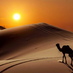 KSHMR & Marnik - Bazaar (Hardstyle Remix By Max3r)