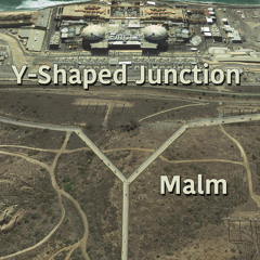Y-Shaped Junction