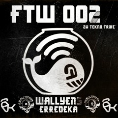 FTW 002 - Wallyens - 2h Vinyl Mix - Tekno Tribe