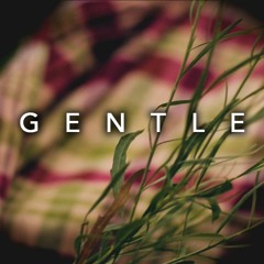 GENTLE (Gentleman by Ric Hassani Tribal Cover)