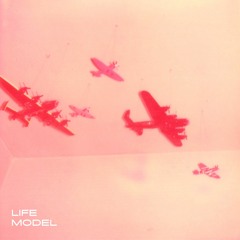 Life Model