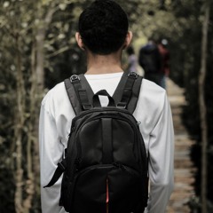 Putri Ci - I m A Lady (L3tOy NidDy Remix)