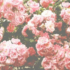 ,,محتاج فرصه