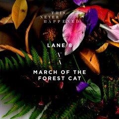 Lane 8 - March Of The Forest Cat
