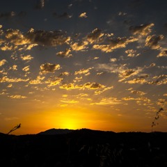 'AOP' Funeral Scene - Theme for Victims (2017)