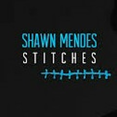 Stitches cover by Joel Sebastian