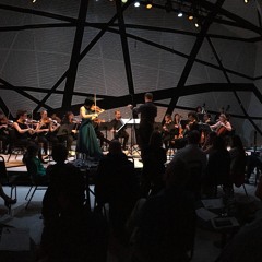 Peter Askim: Being, Becoming for String Orchestra (Live at National Sawdust 2017)