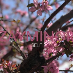 ZayMinor - SELF