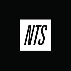 NTS Radio RIP - Fractal Meat On A Spongy Bone W / ISSHU -  18th July 2017