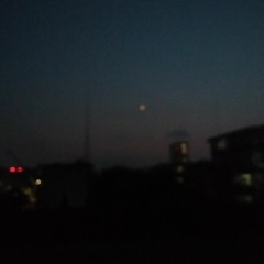 gao高