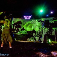 PEX Summer Festival 2017 - Renegade Set @ Camp Beemore