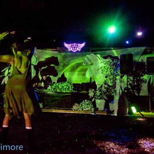 PEX Summer Festival 2017 - Renegade Set @ Camp Beemore