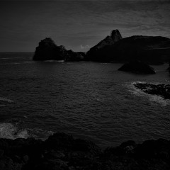 REAVER (demo)