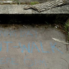 WLD2017 Rhôd Silent Walk