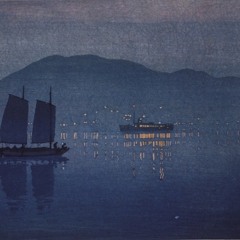 Chamber Arizona dream (half cover)