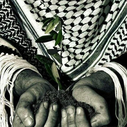 لبيك يا أقصي البطولة ،، " لبيك يا أقصى البطولة كلنا نفدي الحمي " أكثر من رائعة  💚💚