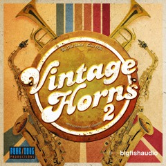 Vintage Horns 2 - Demo 1