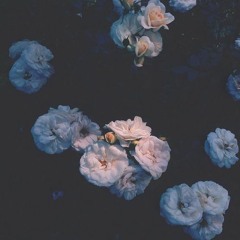 Of Norway - The Loneliest Man In Space (Crux & Grus Remix) [Connaisseur Recordings]