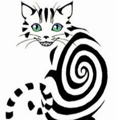 ...Muzi:Cat... - KymaTek:Nixe