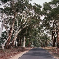 3 day drive