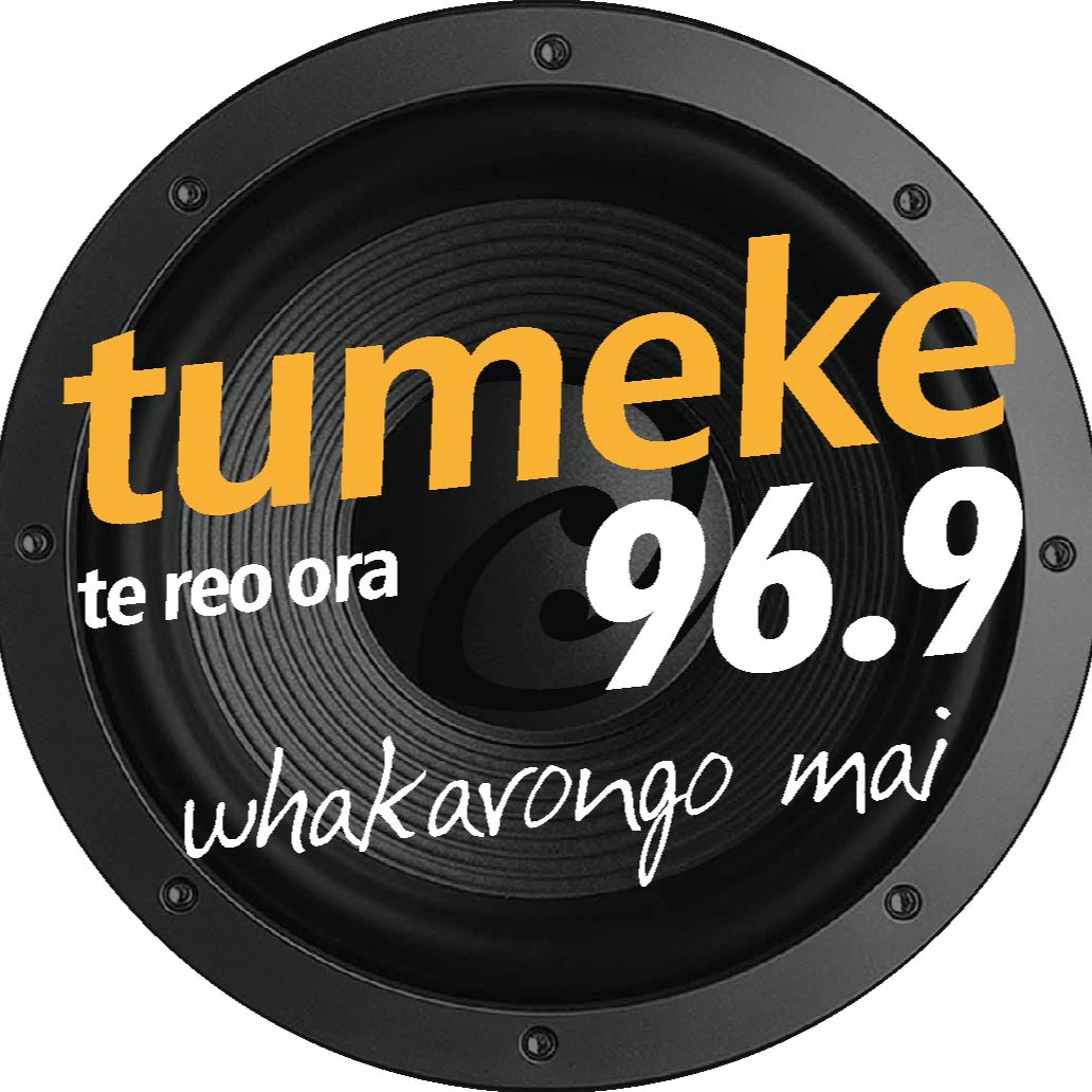 Episode Logo