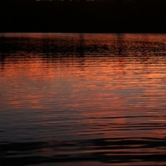 LSHEA - The Bar Freestyle (Prod. Jameson)