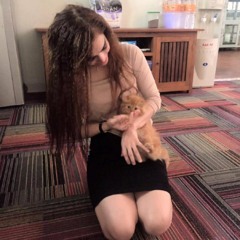 Música de fondo cinematográfica increíble y hermosa