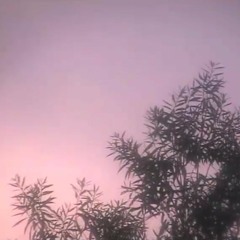 bodhi_citta //+visual