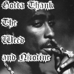 Rhythm - Gotta Thank The Weed and The Nicotine ft 2pac(G-funk)
