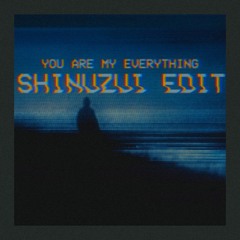 BONES / Ricky A Go Go - You Are My Everything (SHINUZUI Edit)