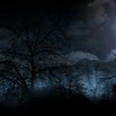 perky w  30tuck! ( prod. MiiiKXY )