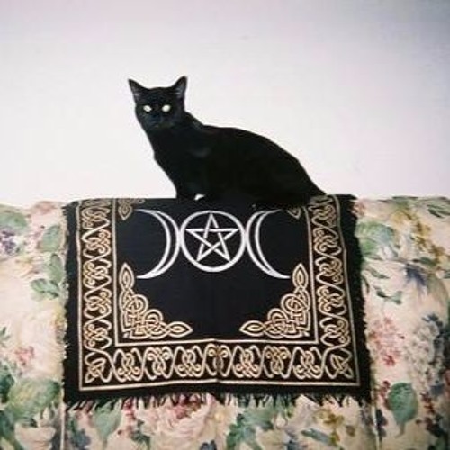 W/H/†
