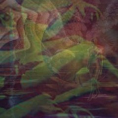 Lucidity