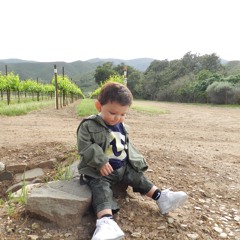 G-Money-Been The Same(preview)