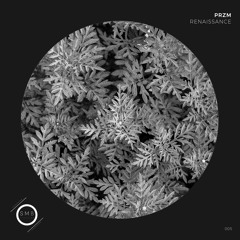 PRZM - Attraction (Snippet)